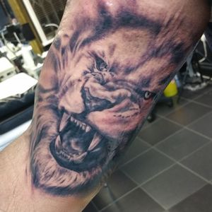 Lion done while ago, part of a sleeve. 