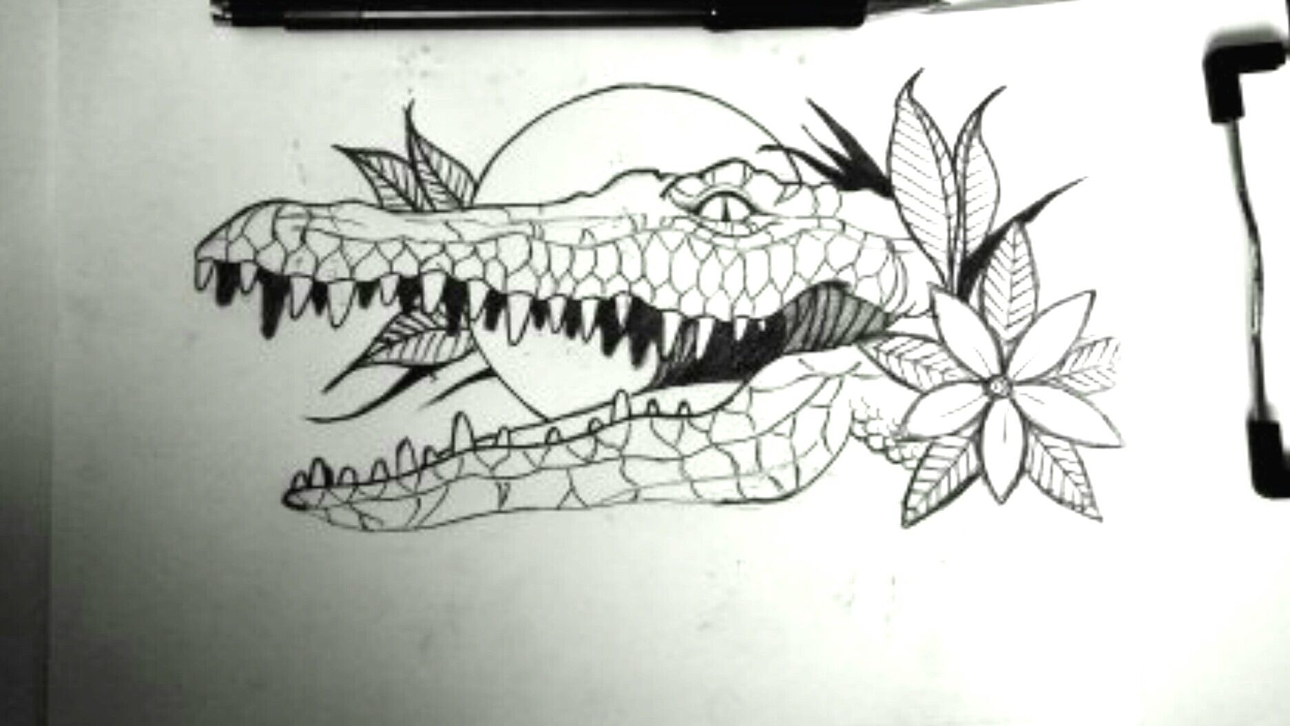 Aggregate 70+ alligator tattoo drawing thtantai2