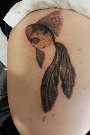 Fish tattoo ... #tattoo #fishtattoo #tattoed #tattooart 