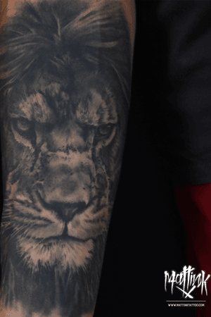 Healed lion portrait #realism #ink #portrait #lion #mattinktattoo #tattoo