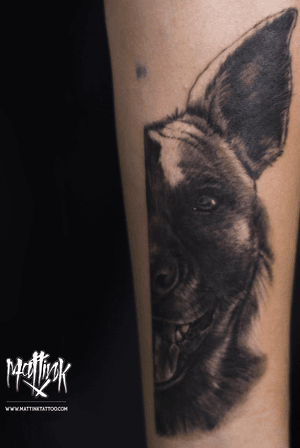 Dog portrait #mattinktattoo #ink #portrait #dog #realism #tattoo #blackandgrey 