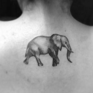 Elefante. #elephanttattoo #blackandgrey #bwtattooing #girltattooartist #roxxaiin