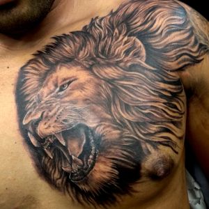 Lion leão tattoo, peito , tatuagem , rugindo