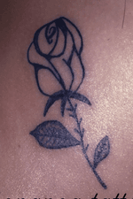 Small rose