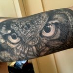Healed owl tattoo #realism #animal #animalrealism #owl #owleyes #owlhead #hiboux #limerick #ireland #realisme #blackandgrey