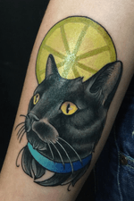 Gato limón