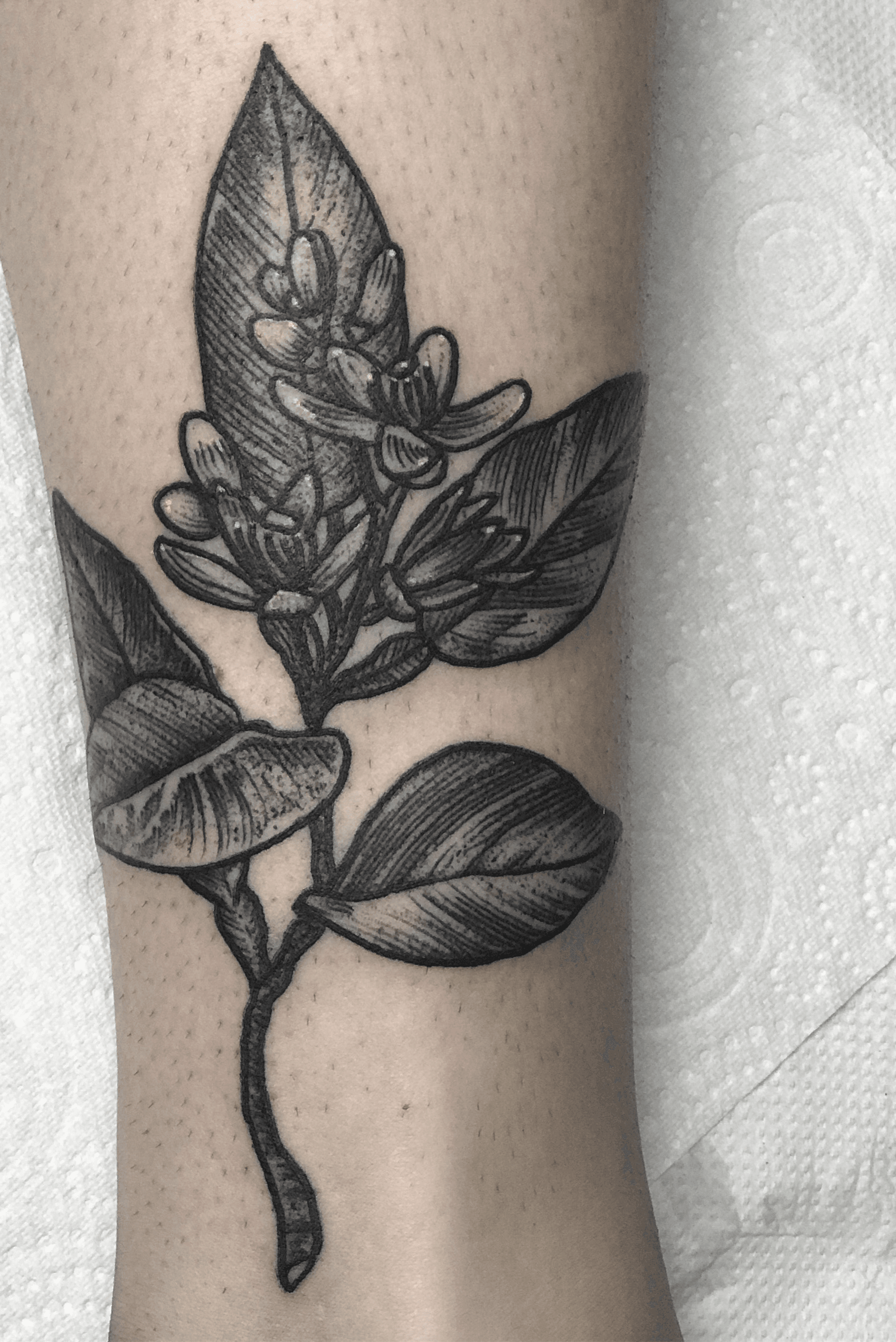 Orange blossoms but maybe a more simplistic version Representing Florida  obviously  Makeup tattoos Beautiful tattoos Blossom tattoo