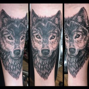 Wolf on a forearm #wolf #wolfrealism #animalsrealism #realism #limericktattoo # forearmtattoo #ireland #bullmantattoostudio #blackandgrey