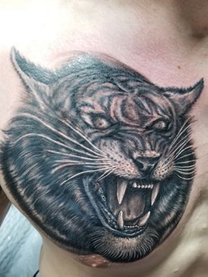 Cover Up by Angel Rivera at Ink Paradise in Smyrna, GA. 6 hrs. #realism #blackandgrey #tiger #CoverUpTattoos 
