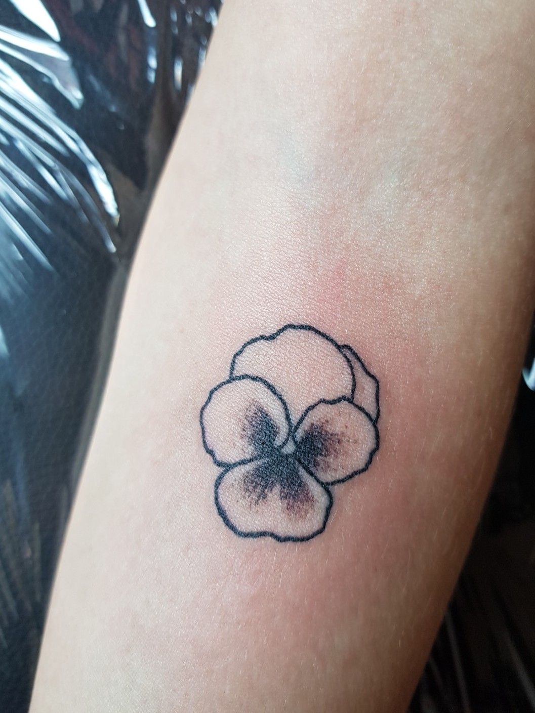 9 Ravishing Pansy Tattoo Designs With Images  Styles At LIfe