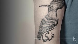 Custom Hoopoe bird on tricep#newink #tattrx #tattooidea #tattoostyle #linesanddots #tattoosofinstagram #inkedmagazine #inkd #artist_features #customtattoo #inkstagram #tattoooftheday #blackworksubmission #blacktattoomag #onlyblackart #darkartists #blackink #blackwork#geometrictattoos #birdtattoo #hoopoebird
