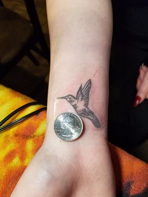 Small, hummingbird, quarter, black, grey, bird