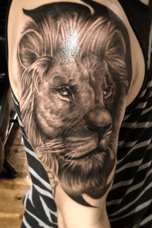 Lion tattoo i did. One sitting