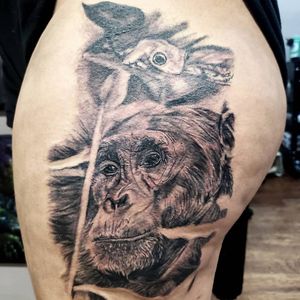 A cover up and beginings to a leg sleeve #chimpanzee #chimpanzeetattoo #coveruptattoo 