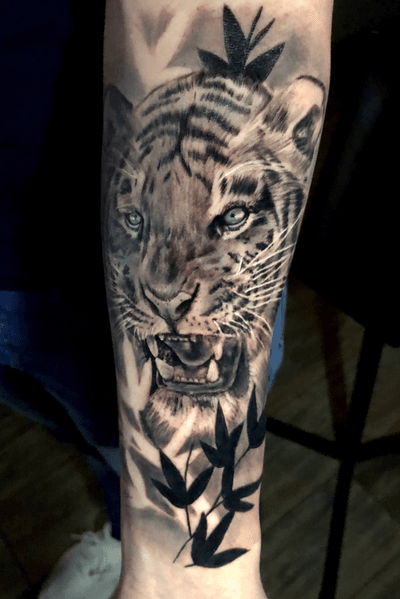 Tiger #blackandgrey #tiger #tattooartist #realism 