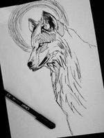 My own drawing of a wolf. #wolf #sketch #blackAndWhite #moon #tattoopattern 