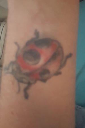 Lady bug for my daughter 