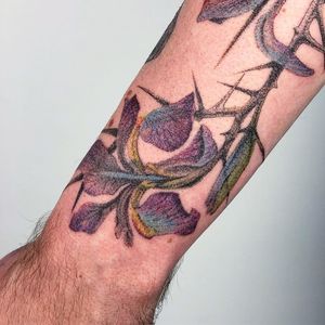 Tattoo by Le Lu aka 54.43_20.30 #LeLu #54.43_20.30 #besttattoos #best #color #flower #floral #thorns #plant #nature #watercolor #dotwork