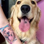 Tattoo by Felipe Luiz #FelipeLuiz #toptattoosof2018 #toptattoos #2018 #bestof2018 #dog #petportrait #portrait #animal #cute #color #flower
