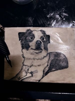Portrait of my dog Leave your comments!!! #blackandgreytattoo #practice #dog #dogtattoo #dogportrait #ink 