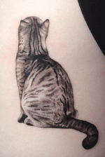 🐱 - more on instagram - reecheetattoo #cat #tattoo #cattoos #pettattoos #animalportrait #cattattoo #portrait #blackwork #whipshading #blackandwhite #blackandgrey #blackandgreytattoo #realistictattoo #realismartist #realism #smallrealism #londontattoo #london