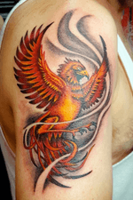 Phoenix tattoo. #phoenix #phoenixtattoo #bird #mythology #color #colorful #colortattoo 