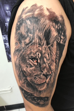Black and grey lion tattoo