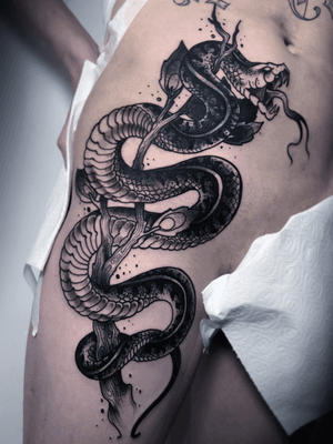 Cover up snake—змея перекрывашка