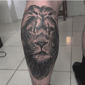 Lion king—король лев