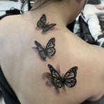 3D butterflies 