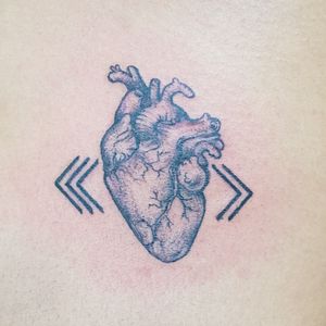 Realistic anatomical heart