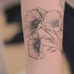 Poppy tattoo linework