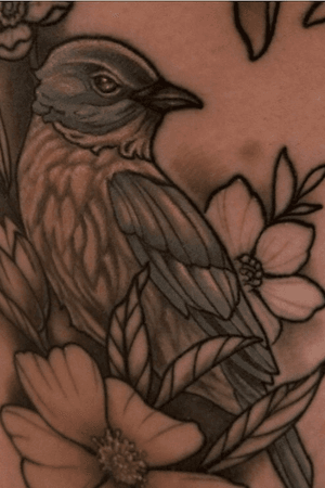 Closeup healed bkuebird floral thigh piece by Kevin Farrand at have hope tattoo 