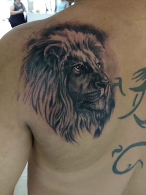 #lion #cordoba #argentina #leon #tats #tattoo #tatuaje #tatuaggio #blackandgrey 