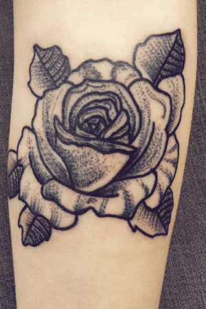 Rose tattoo with dot work