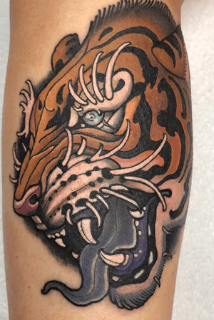 1 session tiger by Kevin Farrand 
