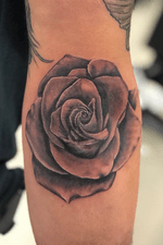 Rose on an elbow