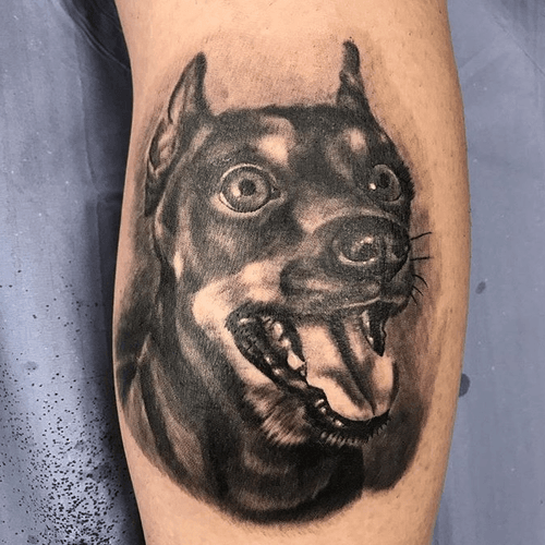 Black and grey Dog portrait