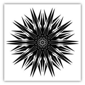 #geometrictattoo #geometric #black #mandalatattoo #mandala #designer #symetrical #sacredgeometry #linetattoo #finelinetattoo #finelines #sun  #sol #diseñodetatuaje 