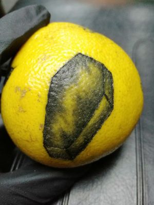 Coffin shading on grapefruit 