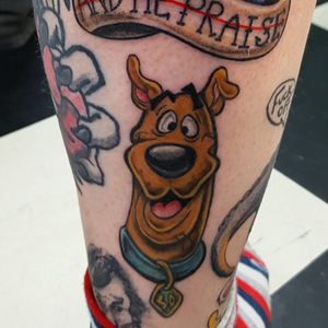 Scooby doo Scoobydoo cartoons 