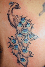 A small peacock I did a few weeks ago. #colortattoo #tattoo #tattooartist #ink #inked #houstontattooartist #conroetattooartist #houston #conroe #ericsquires #ericsquirestattoos #inkedgirl #peacock #peacocktattoo 