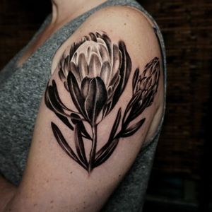 Unique Queen Protea flowers. Realistic black and grey shoulder piece 😊