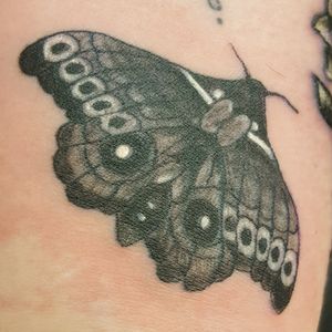 Moth #tattoo #tattoos #tattooist #tattooartist #blackandgray #mothtattoo 