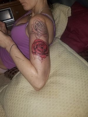 roses in progress