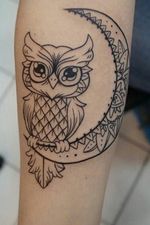 #owl#moon