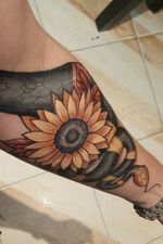 Sunflower 🌻🐍