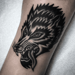 Tattoo by Steve Zimovan #wolf #blackwork #blackworktattoo #blackandgrey #brightandbold #traditional #traditionaltattoo #ashevillenc #ashevilletattoos 