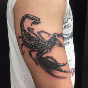 Realism - black and grey scorpion