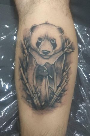 Sifu panda master panda